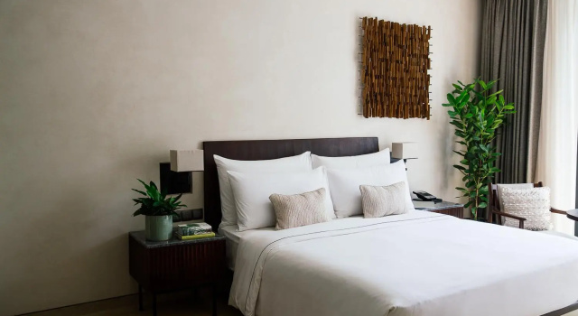 Двухместный номер Deluxe Treeline Urban Resort