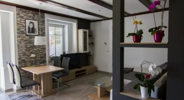 Slovenian House Vida