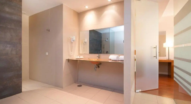 Трёхместный номер Standard Hotel Granada Palace