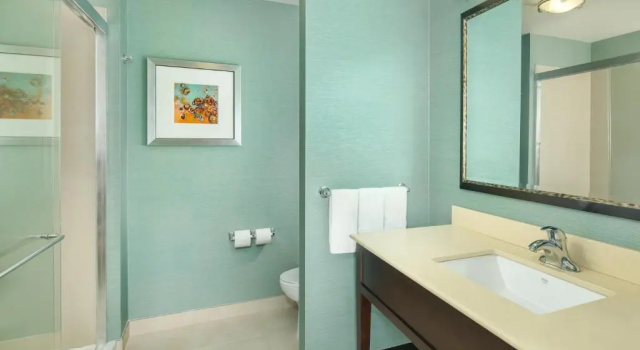 Номер Standard Hampton Inn & Suites Schererville