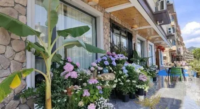 Qiandao Lake Windy House B&B