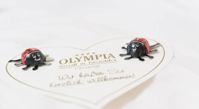 Номер Standard Hotel Olympia