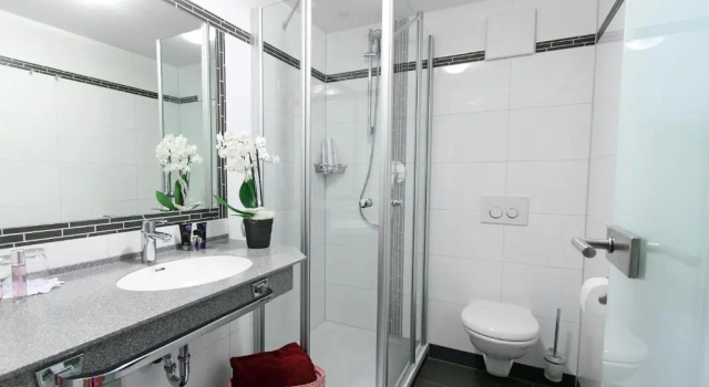 Двухместный номер Standard Hotel-Gasthof Zum Oberen Wirt