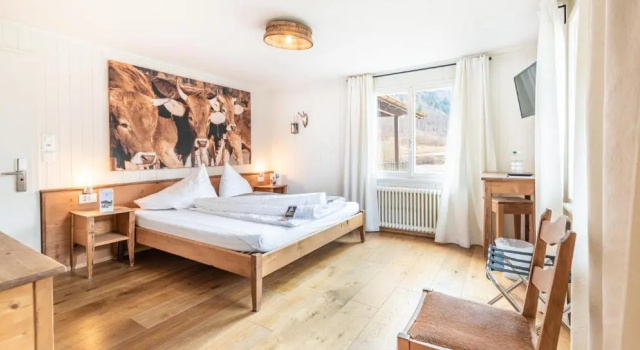 Двухместный номер Standard с видом на озеро Hotel Kaiserstuhl