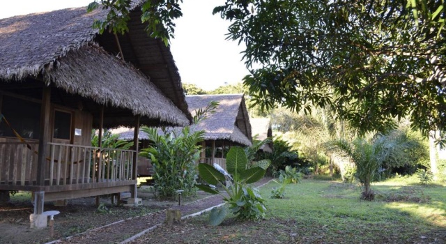 Бунгало Green Diamond Amazon Lodge