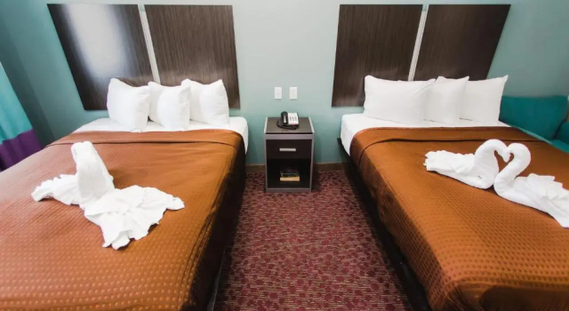 Tiêu chuẩn phòng Express Inn - Spring