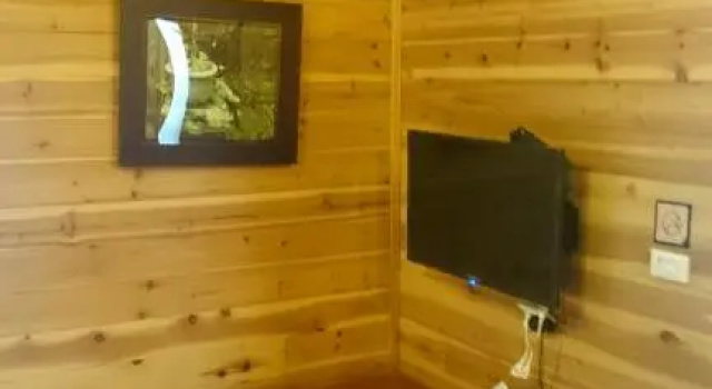 Четырёхместный номер Standard Xin Cai Homestay