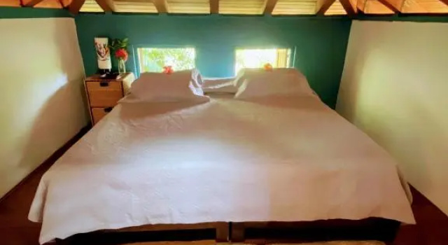 Номер Standard Troncones Point Hostel