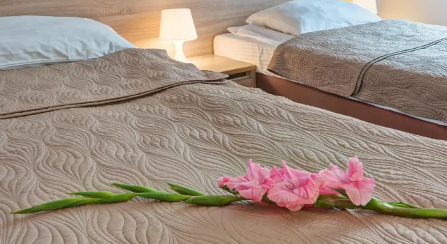 Двухместный номер Standard Hotel Vrest