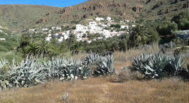 Шале Casa Vista Palmeral