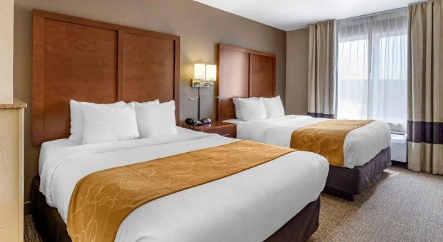 Четырёхместный номер Standard Comfort Suites Coralville I-80