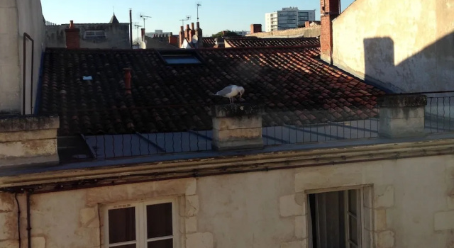 Appartement confortable au centre de La Rochelle, Забронировать Апартаменты/квартира Апартаменты Приморской Шаранты, Апартаменты/квартира