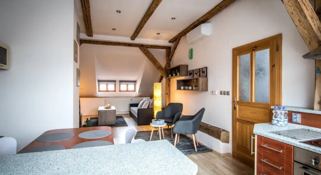 Апартаменты c 1 комнатой Tylova Apartments