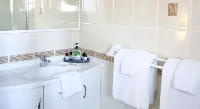 Двухместный номер Standard Цокольный этаж Hotel Forster