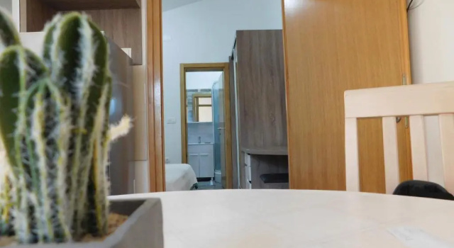 Апартаменты c 1 комнатой с балконом и с красивым видом из окна Apartments Žile