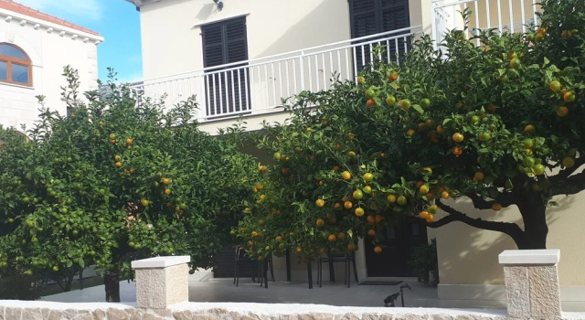 Apartments Stijepo
