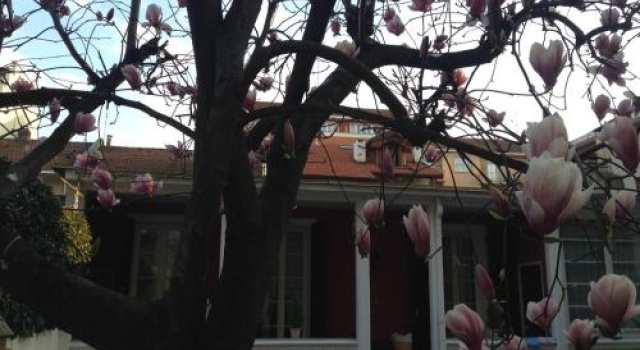AT Home 128 a little garden in the city, Varaa Hotelli Borgo Po 
