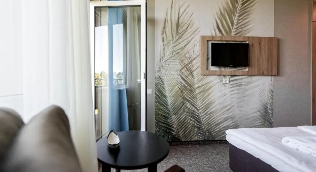 Номер Economy SPA VILNIUS Друскининкай
