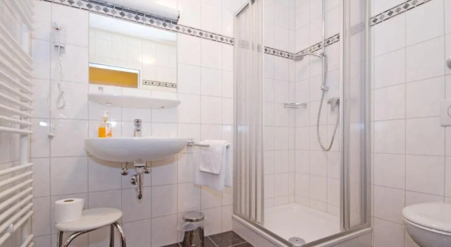 Двухместный номер Standard Hotel Mennicken