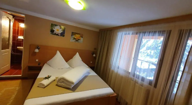 Двухместный номер Standard с балконом Complex Turistic Caprioara