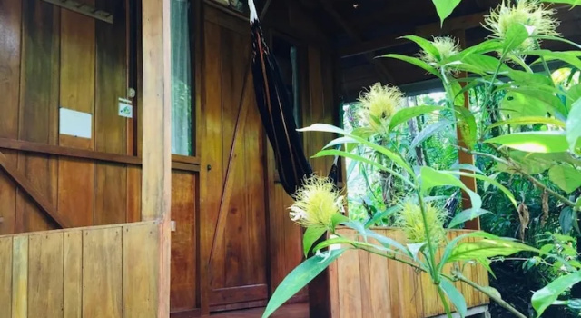 Семейный номер Standard Cabañas Armonía y Jardín de Orquídeas