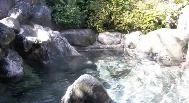 Run of House Ryokan Hanareya Ishidaya