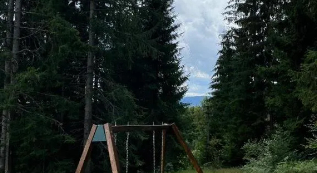 Guest House Golijski Dar, Забронировать Гостевой дом Отели Dajići с бассейном, Бассейн