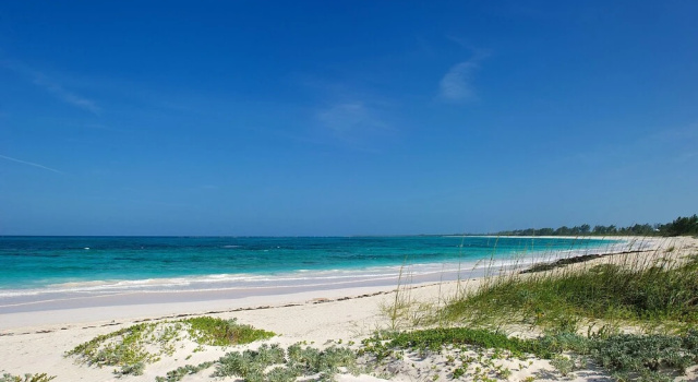 Plage Rose Estate, Book Feriehus Double Bay Sommerhuse, Hytte
