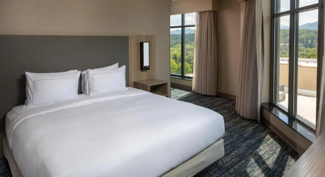 Полулюкс Hilton Asheville Biltmore Park