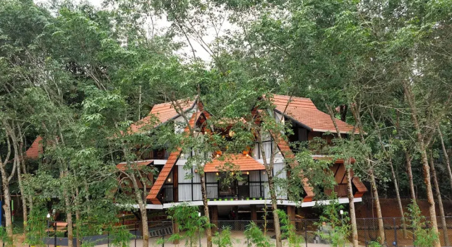 Wayanad Vista Palm View Homes