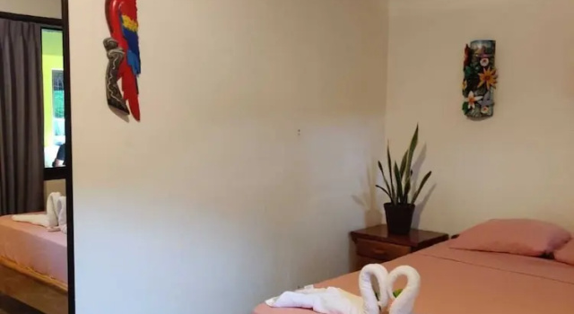 Двухместный номер Classic Cabinas Pura Vida B&B and Tour Operator