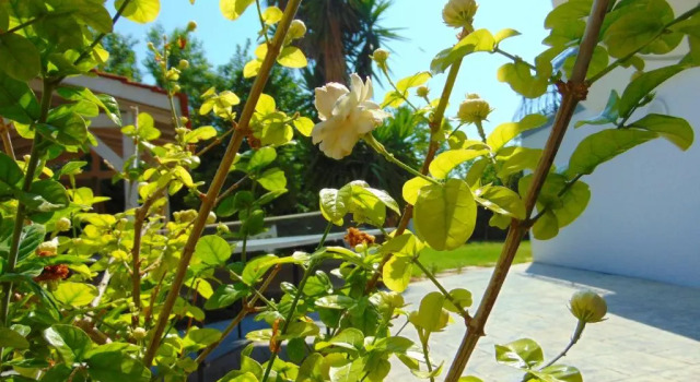 Вилла рядом с пляжем Villa Giovanni