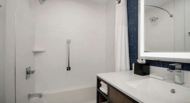 Четырёхместный номер Standard Hilton Garden Inn San Jose Airport