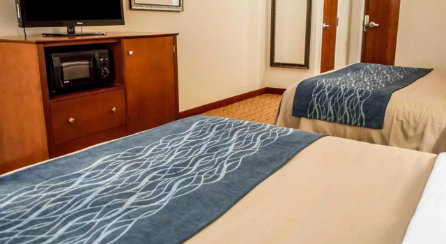 Четырёхместный номер Standard Comfort Inn & Suites Franklin East
