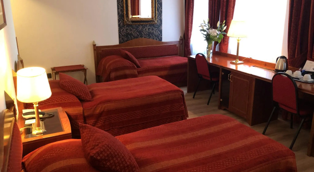 Трёхместный номер Standard Hotel Ariston Prague