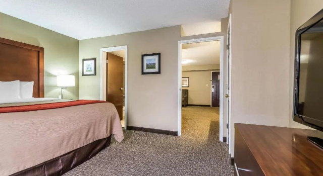 Люкс Comfort Inn & Suites Lexington - Hamburg I-75