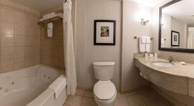 Двухместный номер Standard Hilton Garden Inn Columbia/Harbison