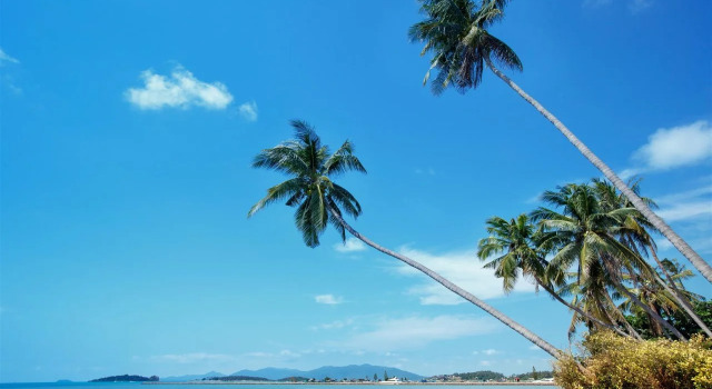 Samujana Villa 20, Foglalás Villa Plai Laem Ko Samui