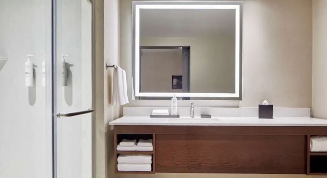 Двухместный люкс Embassy Suites by Hilton Nashville Downtown