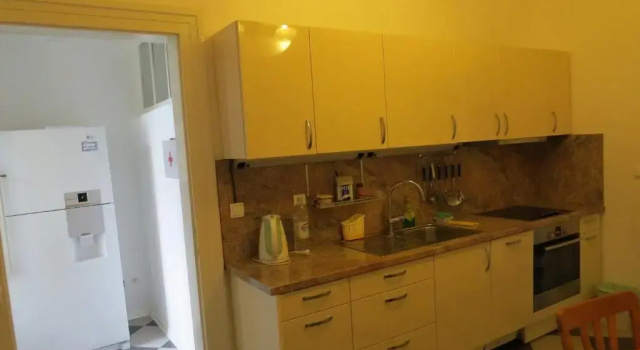 Апартаменты Apartment Kamelija