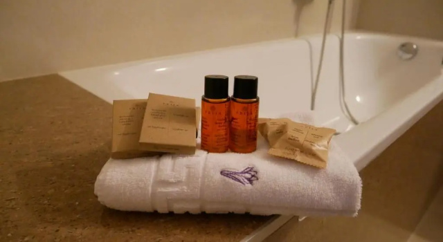 Одноместный номер Hotel Saffron