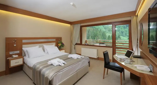 Двухместный номер Standard Kackar Resort Hotel