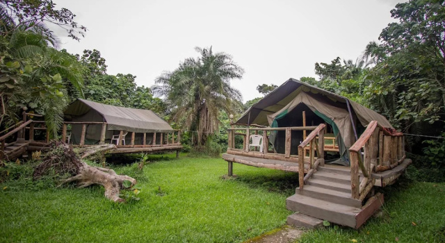 Тент Roots Retreat and Camping Resort