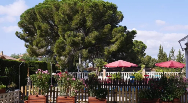 Апартаменты Hotel Restaurant El Bosc