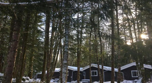 Номер Deluxe Sunwolf Riverside Cabins