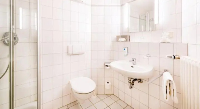 Одноместный номер Standard Schlosshotel Eyba