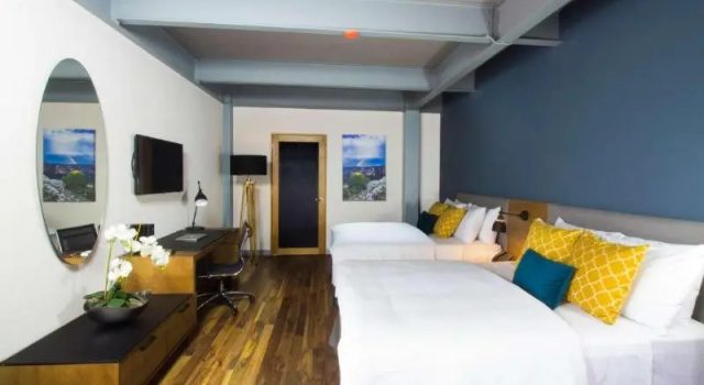 Четырёхместный номер Standard TRYP by Wyndham San Luis Potosi Hotel & Suites