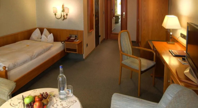 Одноместный номер Standard Rüters Parkhotel