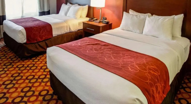 Четырёхместный номер Standard Charlotte Suites