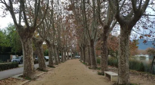 Plaça Major 17 2n 2a Apartament al centre de Banyoles
